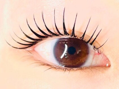 ビモア(BIMOA)の写真