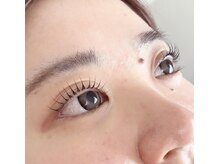 ロータス(Lotus)/