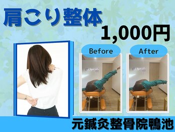 元鍼灸整骨院 鴨池