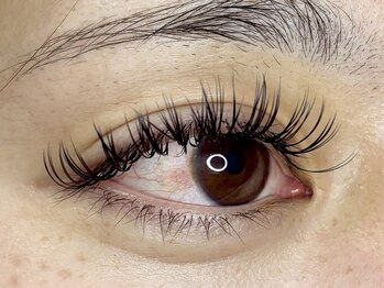 ユニー 相模大野(uniii)/バインドロック100束 