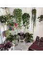 多摩平バランス整骨院 院内植物