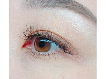 ラグーン(LAGOON)/ダブルフラットラッシュ120本