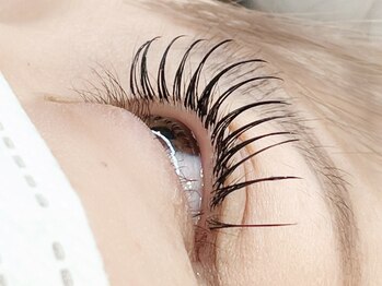 ソエル(soel)/フラットラッシュ160本