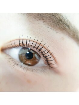 リンク(LINK)/上まつげパーマ