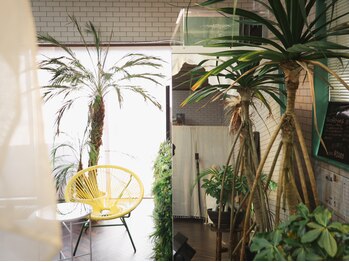 アリュール(ALLURE)/プライベート空間