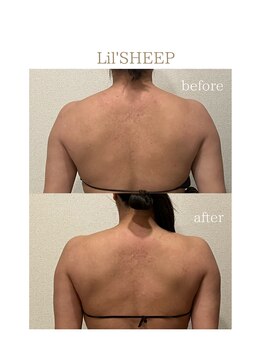 リルシープ(LIL'SHEEP)/ブライダルコルギ