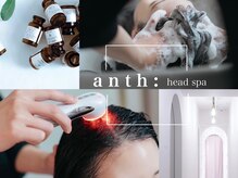 アンス(anth:)