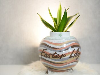 イースターリリー(EasterLily)