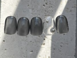 2026年2月light 定額