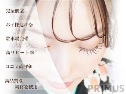 プリムス(Primus)の写真