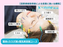 ケーナイン(K-nine)