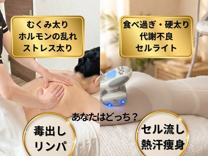 アール シュシュ(R.chouchou)の写真