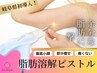 【気になる部分に集中】針なしピストル溶解液☆お好きな部位3本￥33,000→