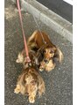 ミオ 亀戸店(mi.o) わんちゃん飼ってます!