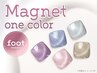 *今月の特別価格* 【フット】 マグネットネイル ワンカラー　￥8800→￥5980