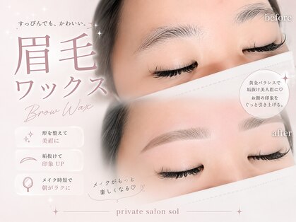ソル(sol)の写真