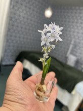 マシュマロハンド/よもぎ蒸し/冷え/むくみ改善