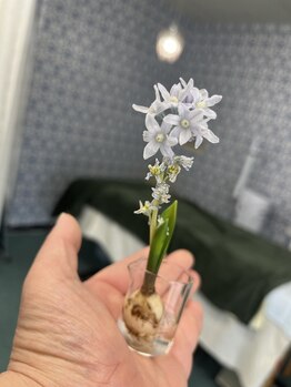 マシュマロハンド/よもぎ蒸し/冷え/むくみ改善