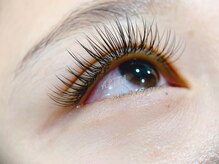 アリータ(ALITA)/フラットマット120本