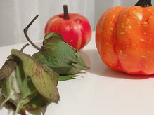 ハミングバード/