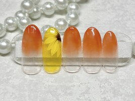 HAND☆シンプル定額プラン