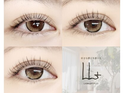 ラニ(Lani)の写真