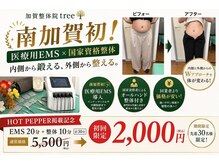 加賀整体院ツリー(tree)