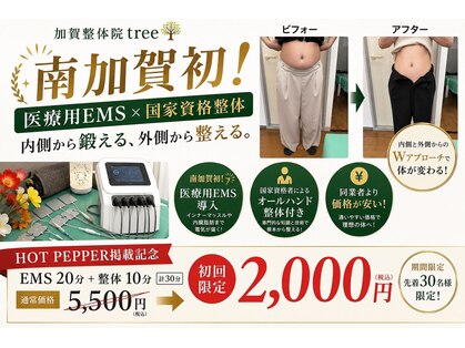 加賀整体院ツリー(tree)の写真