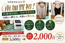 加賀整体院ツリー(tree)