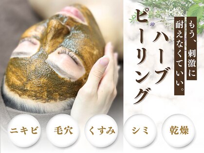 アストリエ グレース 相模大野(Astorie Grace)の写真