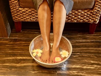 ジャスミン(Jasmine)/