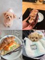 ビューティー ラボ 明石店(Beauty Labo)&nbsp;愛犬のエマと暮らしてます♪趣味は美味しい物を食べる事です！