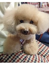 プルミエ ラムール&nbsp;yuriko 