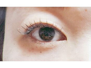 ジャポネスク(JAPONESQUE)/フラットラッシュ120本