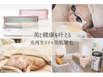 ブランルピナス(Blanc Lupinus)