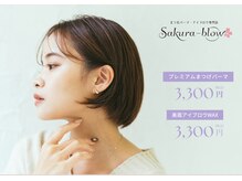 サクラブロウ 神戸三宮店(Sakura-blow)