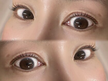 ソラ(Sora)の写真