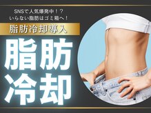 ボディーリセット 勝どき/≪脂肪冷却/勝ちどき≫