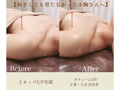 バステト(BASTET)の写真