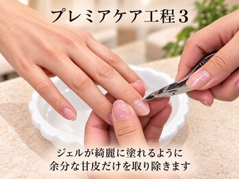 ピアシェ(Piache)/プレミアケア3 ウォーターケア付