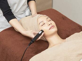 エイジング ラヴィーア 豊橋店(aging Lavia)/人気のベーシックビタミンコース