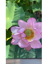 癒し堂 店長 張