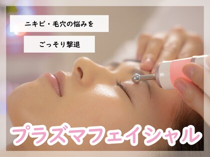 コト(Koto)の写真