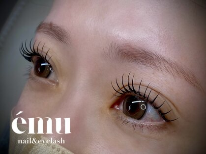 エミュ(emu)の写真