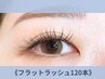 【毎回お得☆次回割1000円OFF】フラットラッシュ120本カラー変更1色まで無料