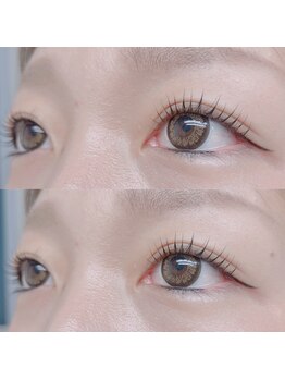 リチェルカ(ricerca)/