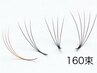 【LED×ボリューム3D】時短施術×均一な仕上がり高持続/160束《通常14300円》