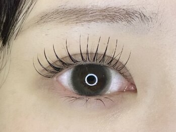 LANDS eyelash 新宿【パリエク特化サロン】【12/1 NEW OPEN（予定）】/パリエク80本