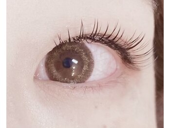 ラルゴ(Largo)/フラットラッシュ　140本