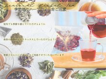 シエロ(Cielo)の雰囲気（季節ごとのハーブティーで身体の中からリラックス◇）